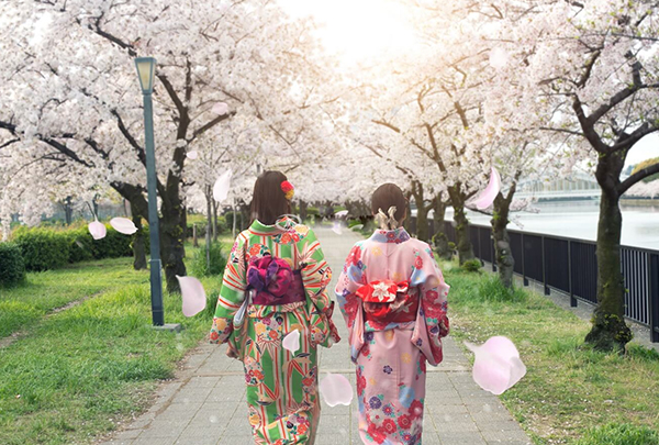 Những lưu ý cần nhớ khi có ý định chọn tour Nhật Bản hoa anh đào 2020